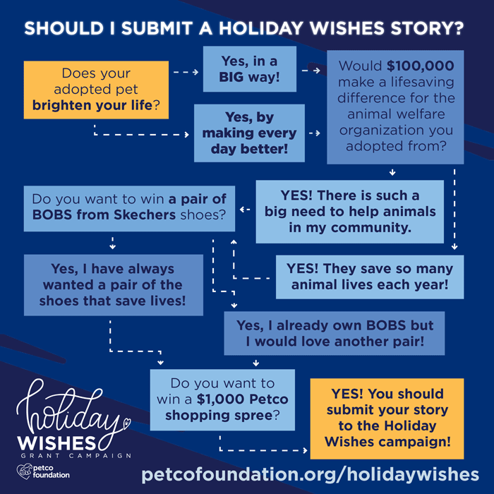 Facebook Twitter and IG Feed Should I Submit Engagement Graphic2