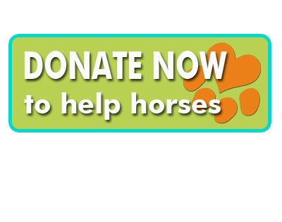 button donate horses