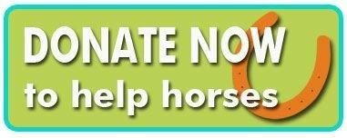 button help horses