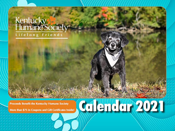 calendar 2021 Copy
