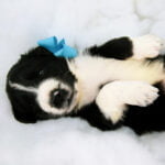 Kendra Scott 20% Off