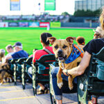 Louisville Bats Pride & Pups Night