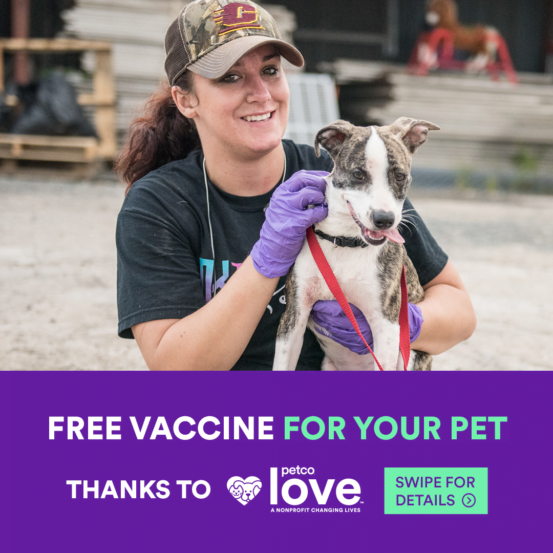 free vaccines at S.N.I.P. Clinic