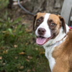 Donation Drive Kick-Off