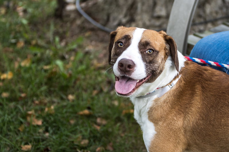 Donation Drive Kick-Off