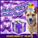 PG&J's FURst Year Birthday Bash!