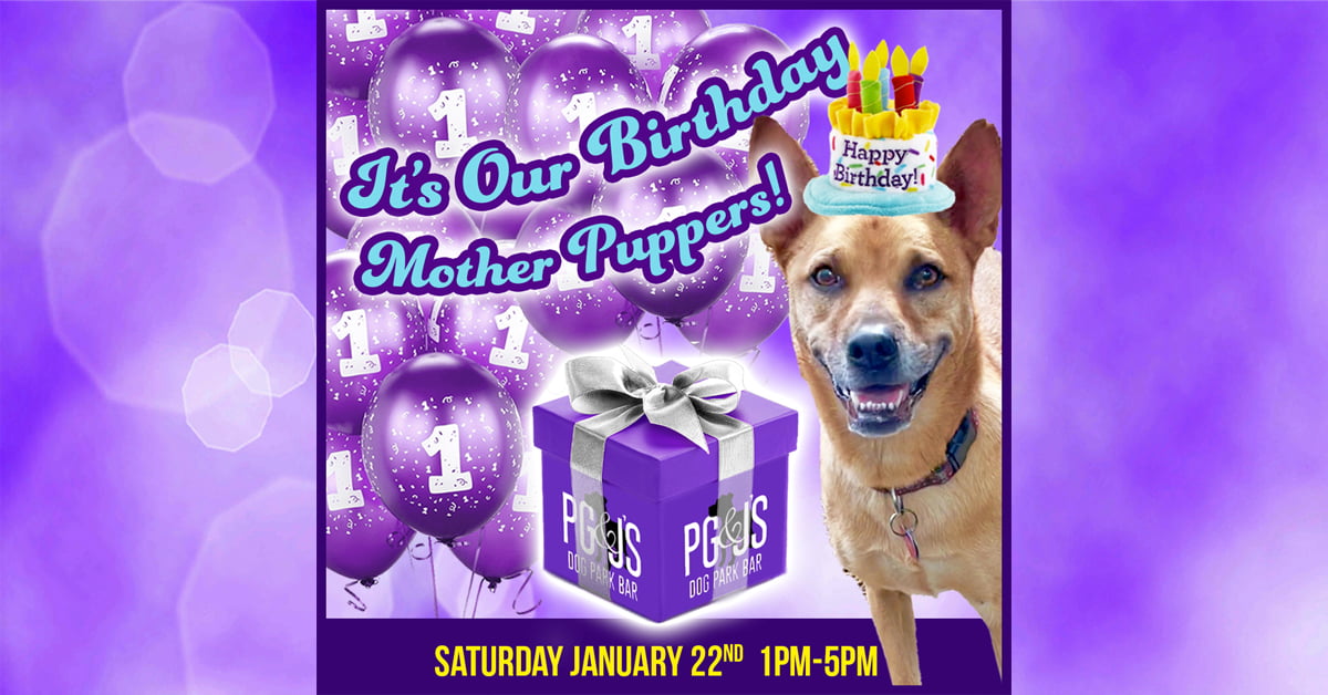 PG&J's FURst Year Birthday Bash!