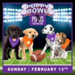 PG&J's PUPPY BOWL 2022