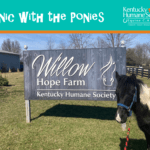 Picnic with the Ponies!