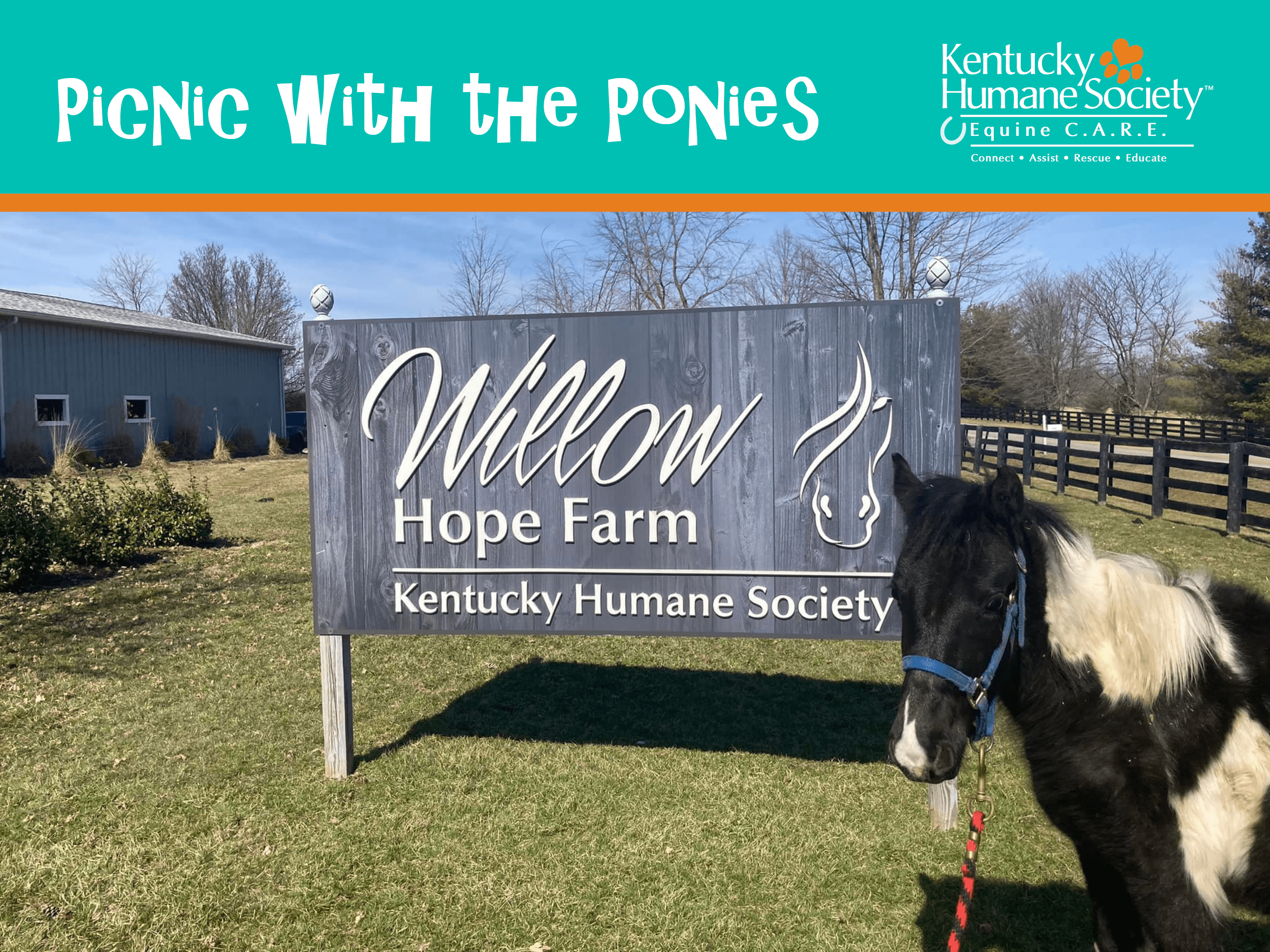 Picnic with the Ponies!