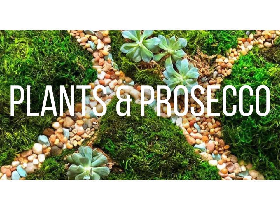 Plants & Prosecco!