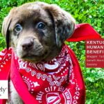 Waggin' Tail Ale Celebration at Falls City Brewing Co.