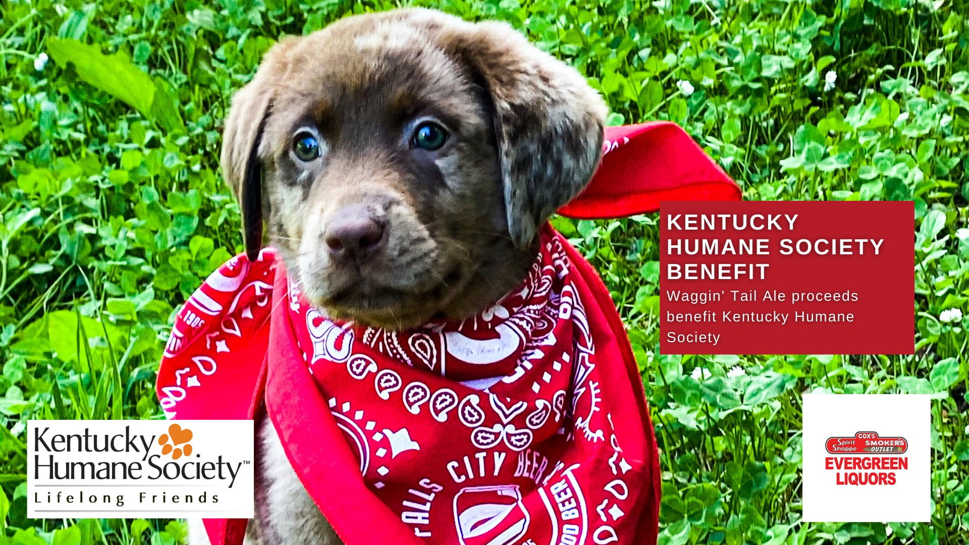 Waggin' Tail Ale Celebration at Falls City Brewing Co.