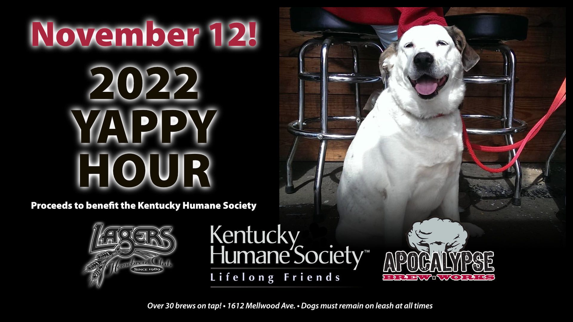 Yappy Hour at Apocalypse 2022