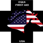 Basic Equine Health and First Aid Clinic at Willow Hope Farm