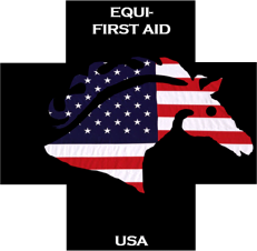 Basic Equine Health and First Aid Clinic at Willow Hope Farm