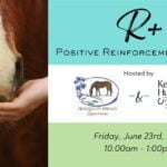 R+ Positive Reinforcement Clinic