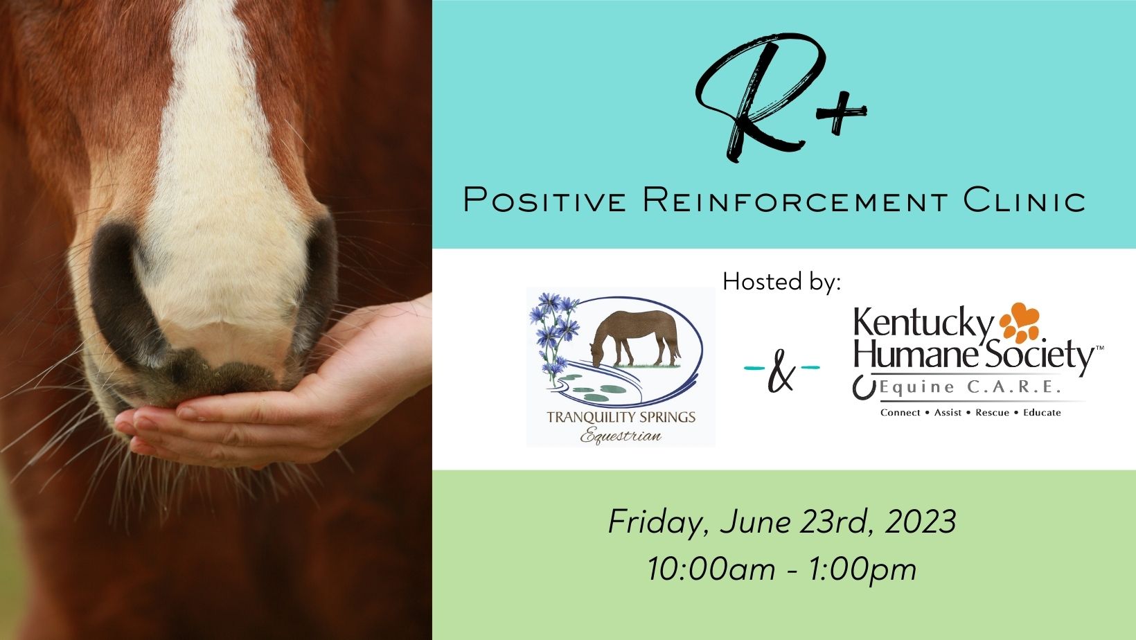 R+ Positive Reinforcement Clinic