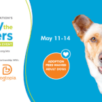 BISSELL Empty the Shelters May 11-14