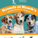 Hounds at Hauck's