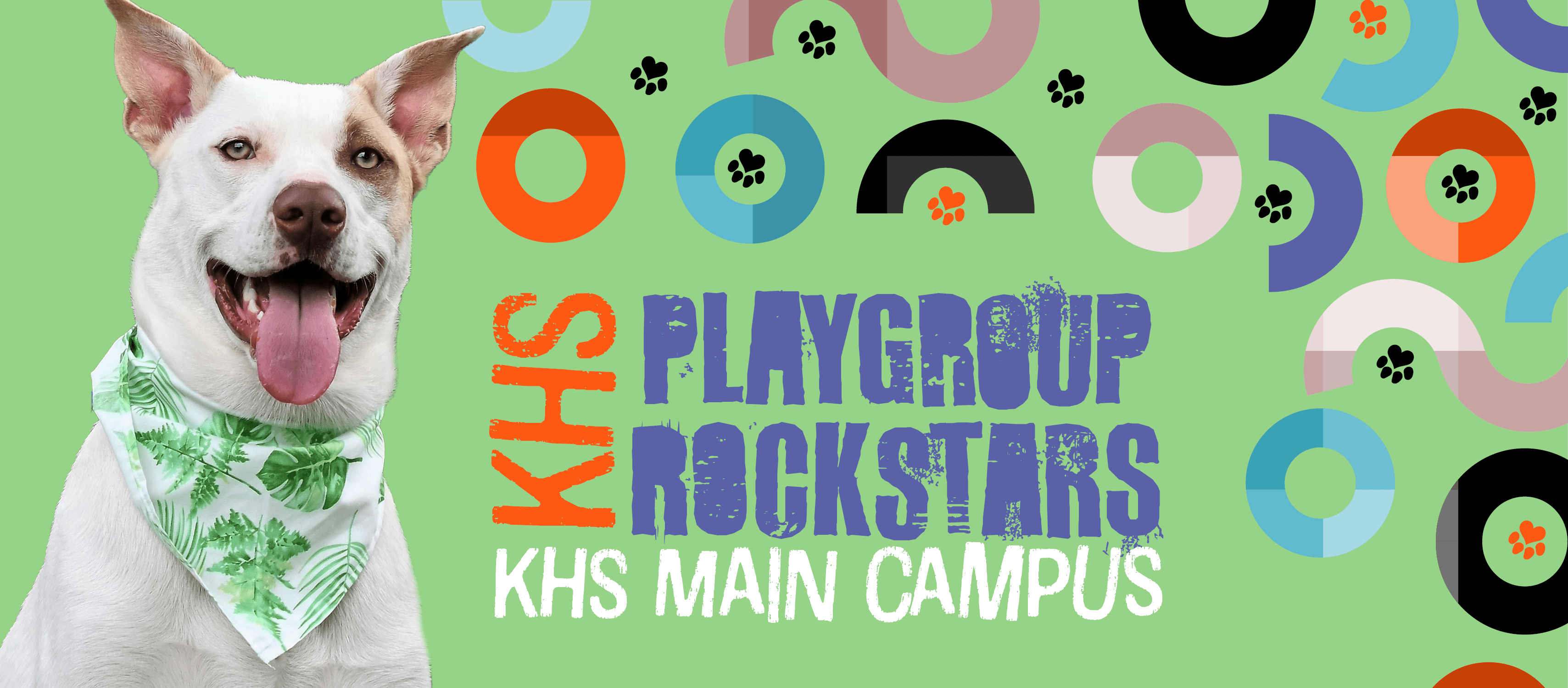 Playgroup Rockstar Showcase!