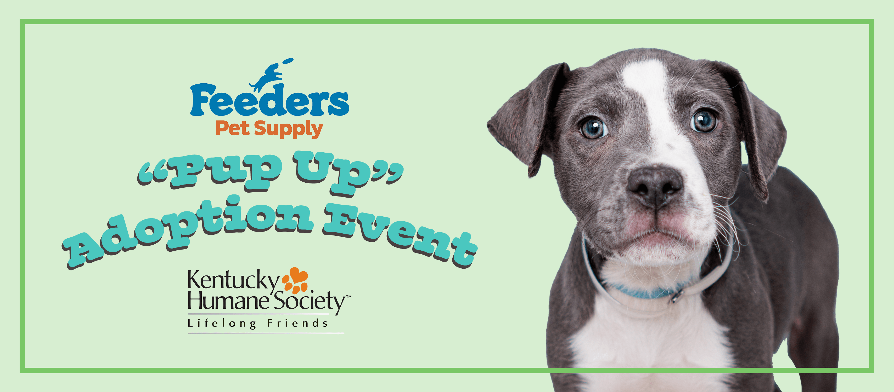 Pup-Up Adoption Event