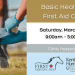 Basic Equine Health & First Aid Clinic