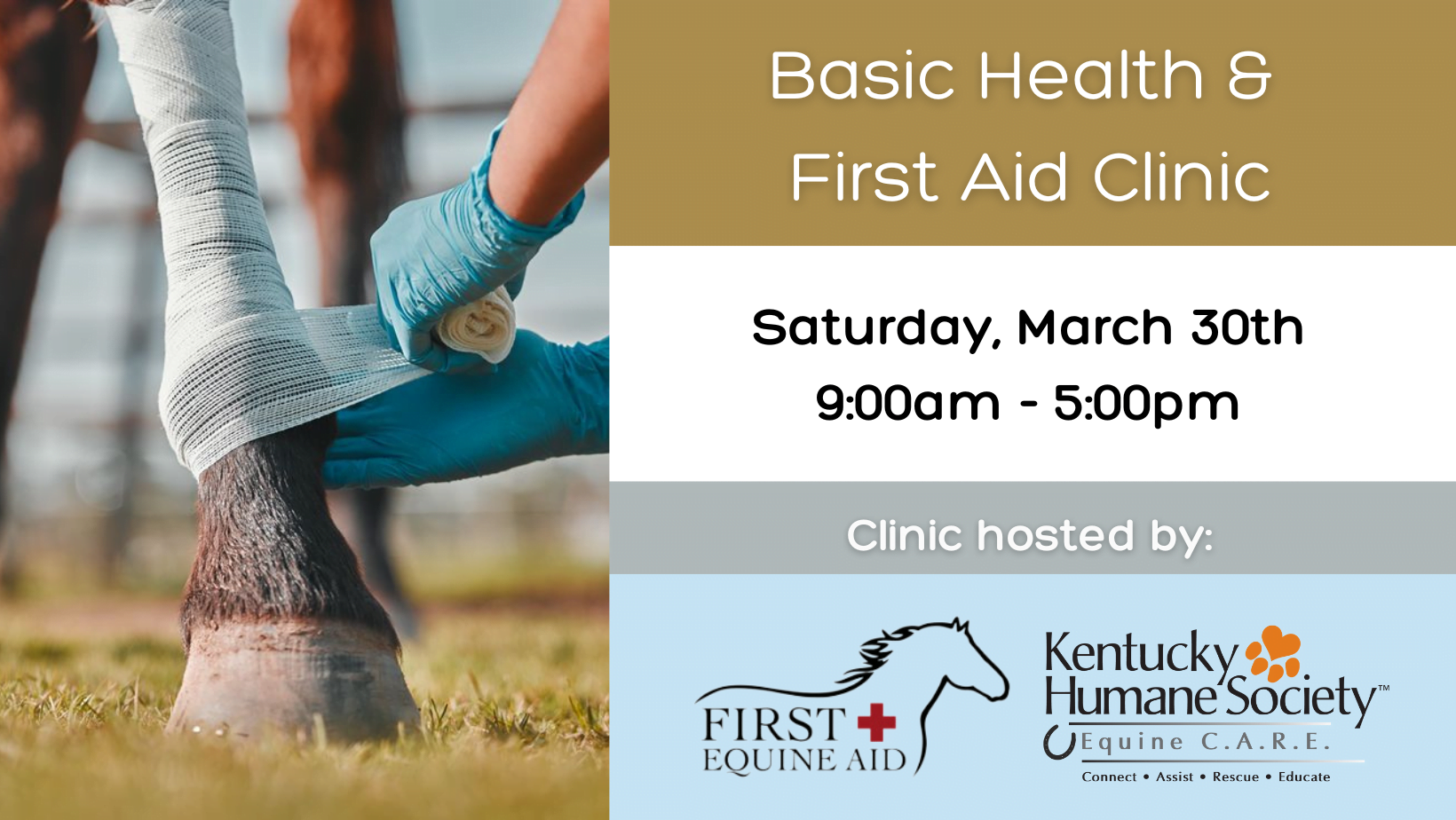 Basic Equine Health & First Aid Clinic