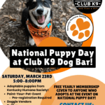 National Puppy Day at Club K9