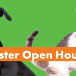 Foster Open House
