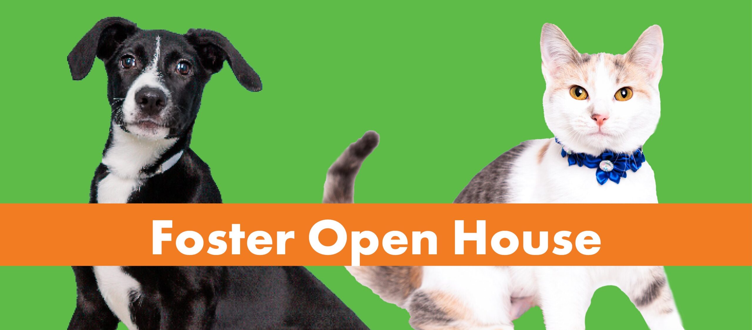 Foster Open House