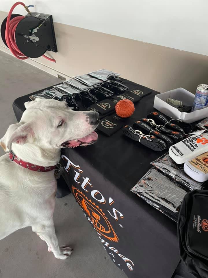 National Dog Day Celebration