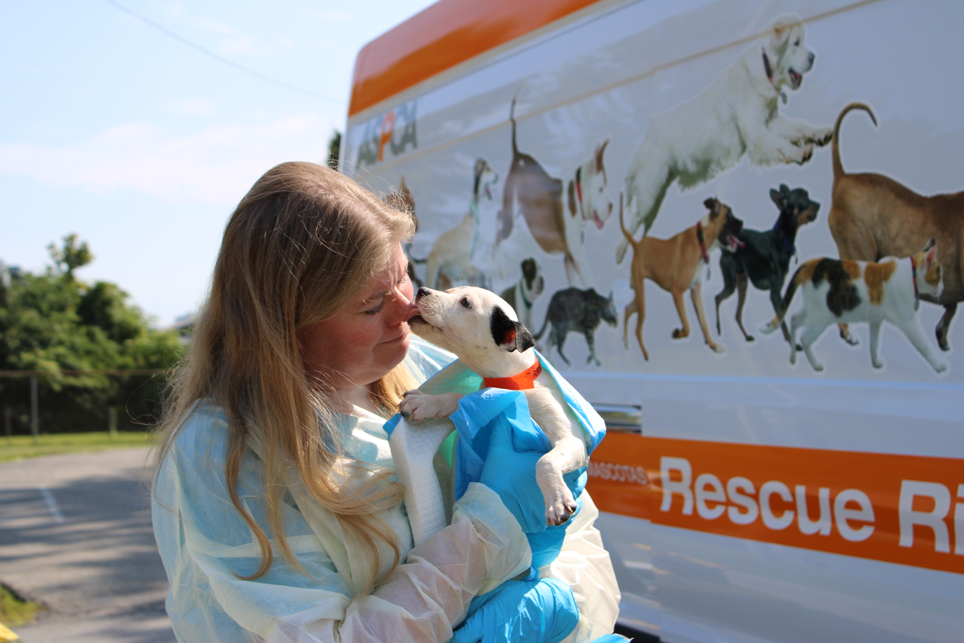 ASPCA transfer - held puppy