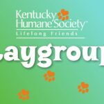 Playgroup with Shelter Pups