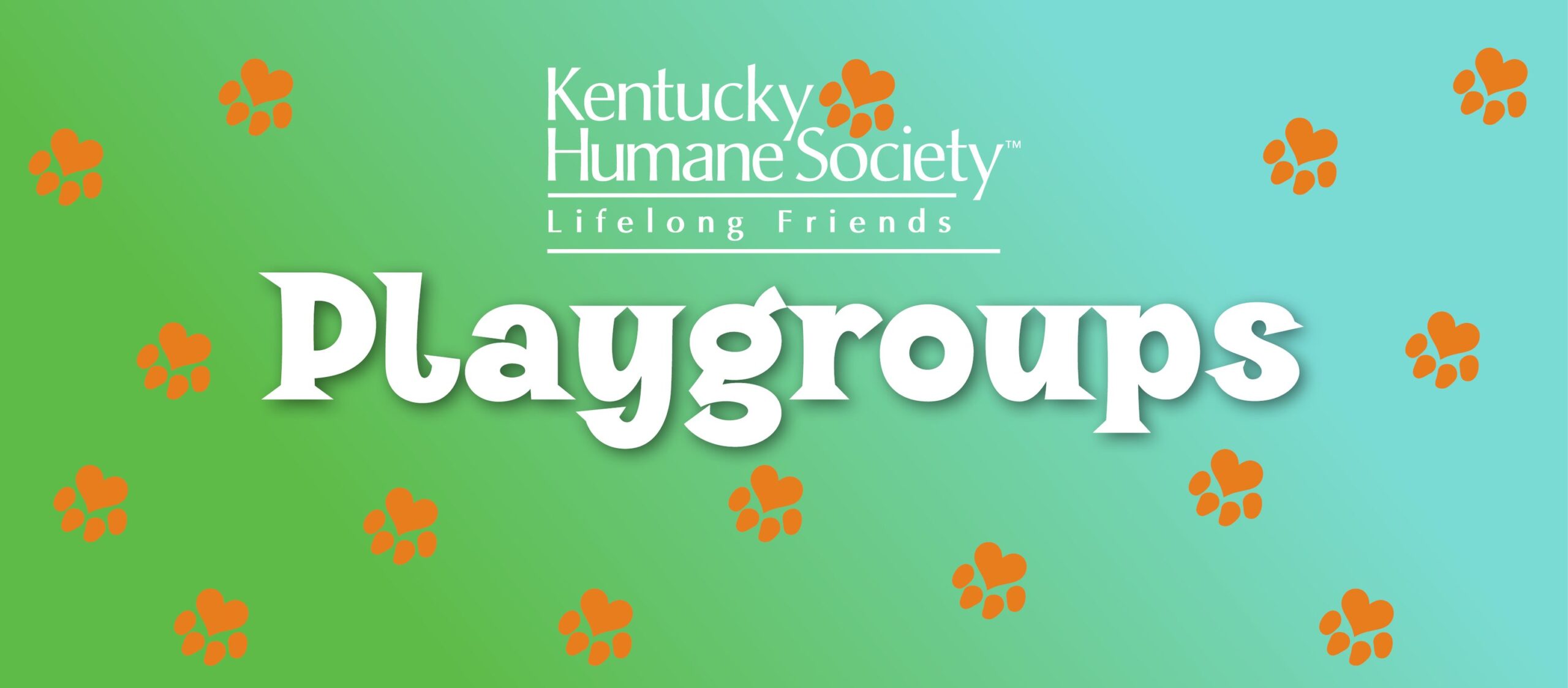 Playgroup with Shelter Pups