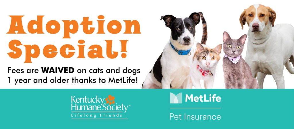 Waived adoption fees for adult cats and dogs.