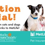 WAIVED Adoption Fees Sponsored by MetLife Pet Insurance!