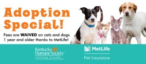 Waived Adoption Fee MetLife