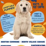 Watch Hill Proper's Hair of the Dog