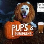 Pups and Pumpkins