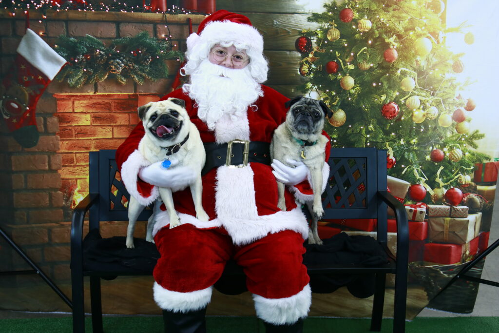 Picture Your Pet 2024