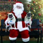 Picture Your Pet With Santa