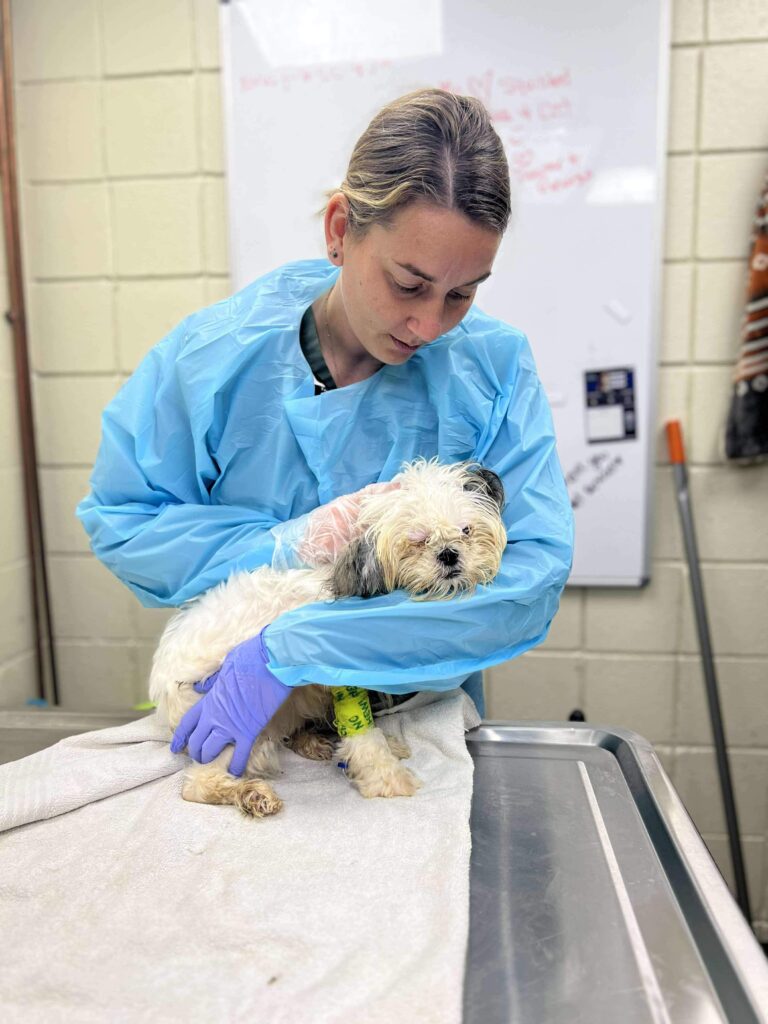 Rebecca holding Fluffernutter.
