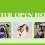 Foster Open House