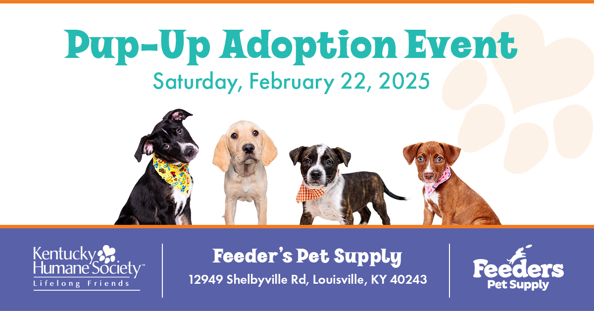 Pup-Up Adoption Event