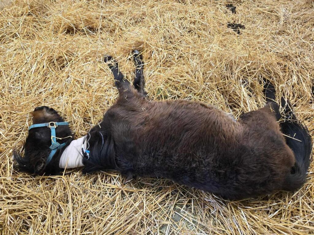 Miracle at Rood & Riddle