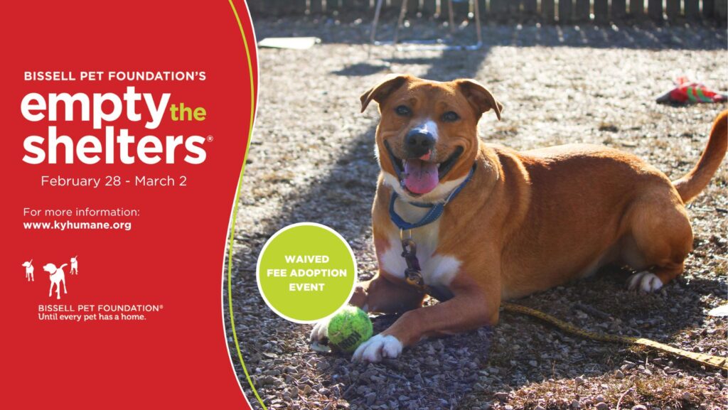 Empty the Shelters 2.28-3.2