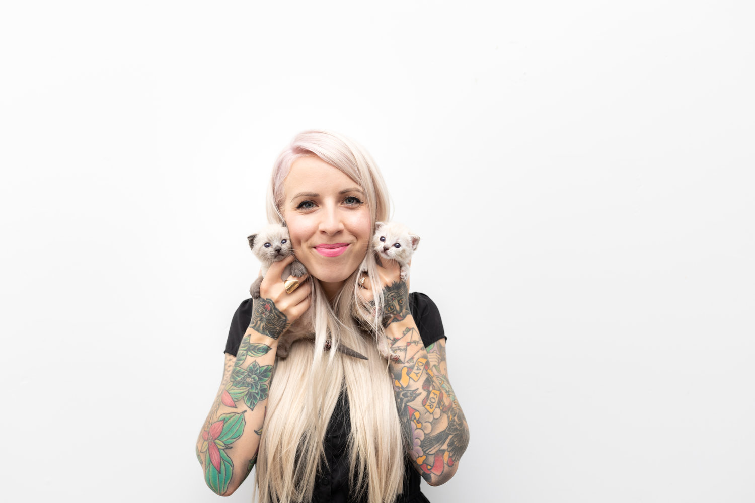 Saving Kittens Workshop by Kitten Lady Hannah Shaw