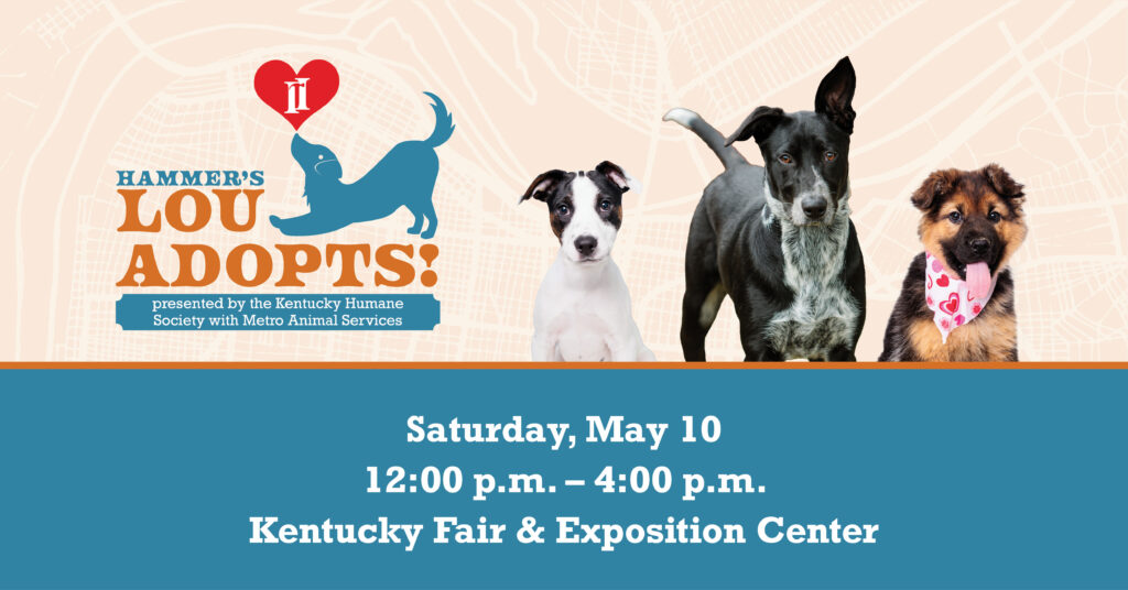 Lou Adopts 2025