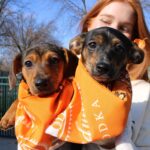 Mules & Mutts - Giveback Day at Noche